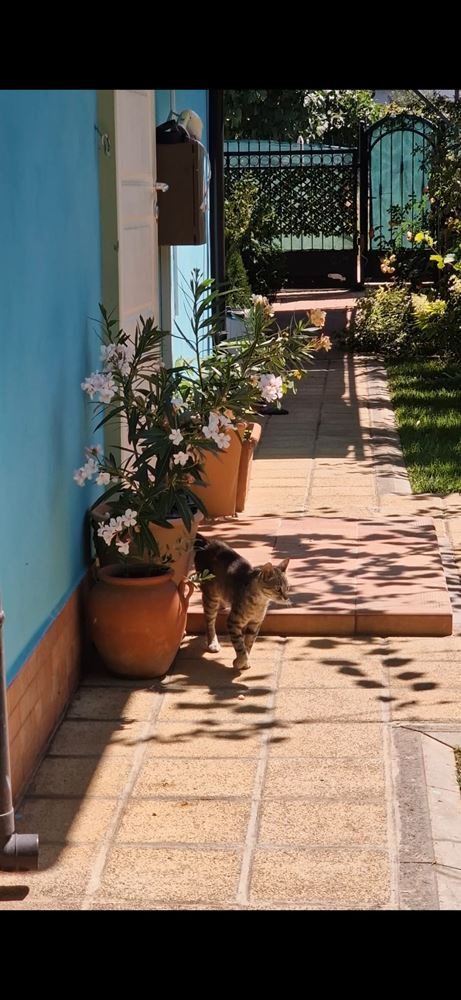 Modernes freistehendes Haus mit Meerblick und beheiztem Pool in Chervenka, Chernomorets