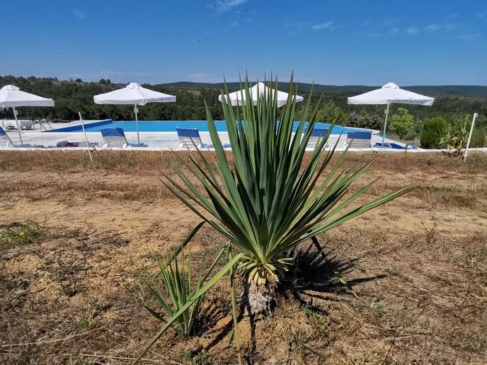 Geräumiges Einfamilienhaus mit Panoramablick in einem Öko-Komplex im Balkan-Gebirge